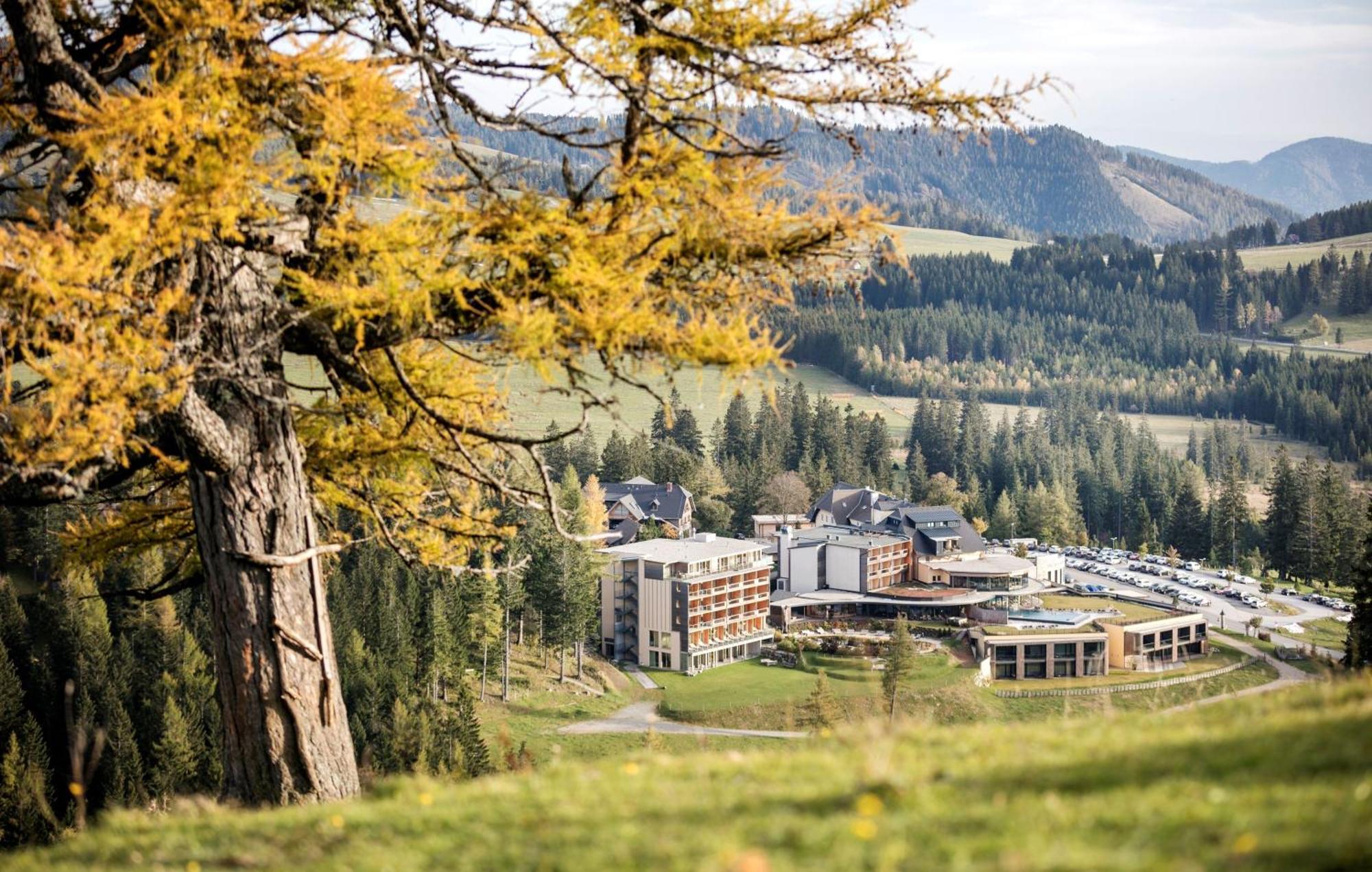 Almwellness Hotel Pierer Fladnitz an der Teichalm Exterior foto